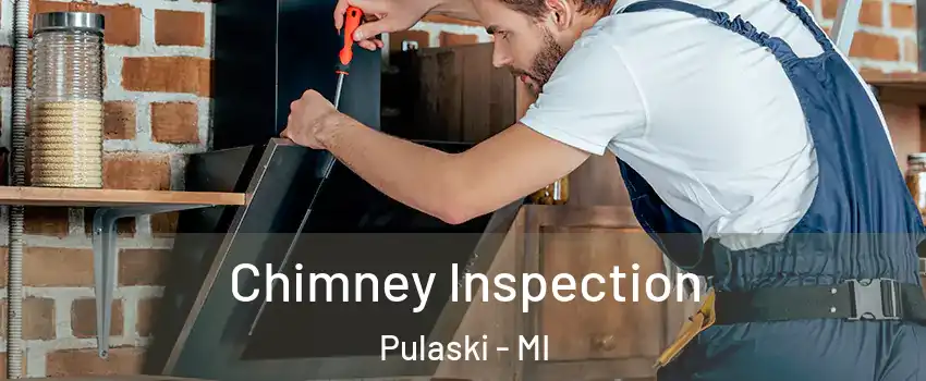 Chimney Inspection Pulaski - MI