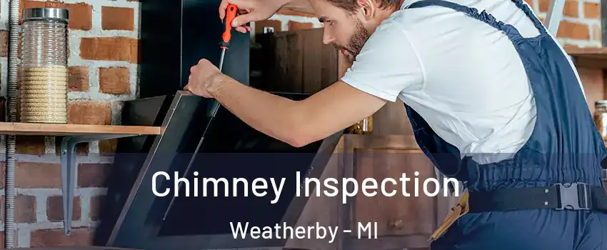 Chimney Inspection Weatherby - MI