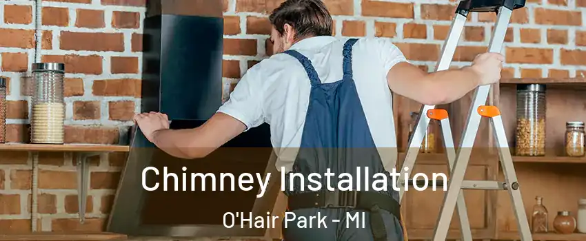 Chimney Installation O'Hair Park - MI