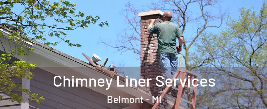 Chimney Liner Services Belmont - MI