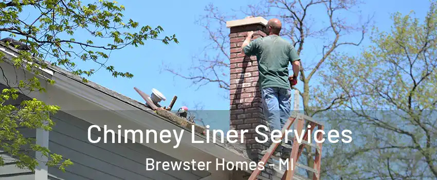 Chimney Liner Services Brewster Homes - MI