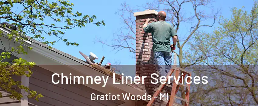 Chimney Liner Services Gratiot Woods - MI