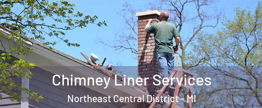 Chimney Liner Services Northeast Central District - MI