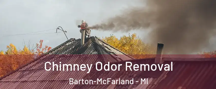 Chimney Odor Removal Barton-McFarland - MI