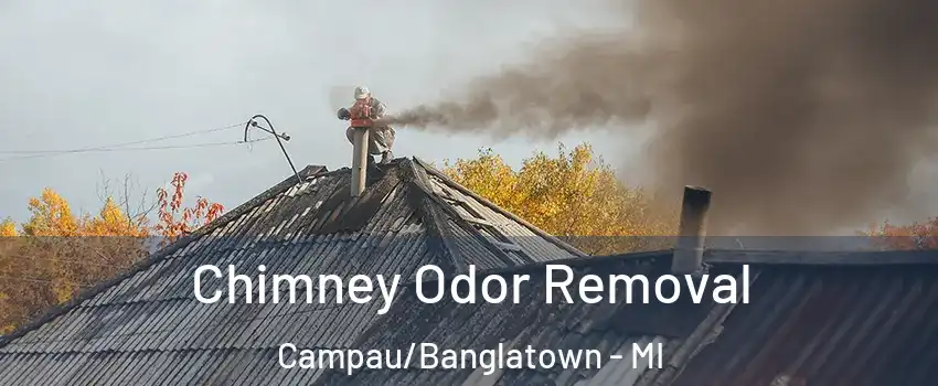 Chimney Odor Removal Campau/Banglatown - MI