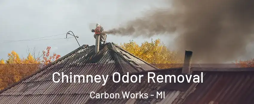 Chimney Odor Removal Carbon Works - MI