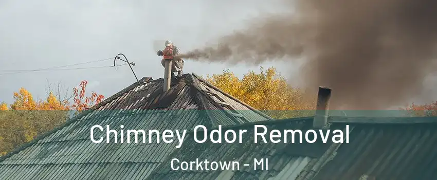 Chimney Odor Removal Corktown - MI