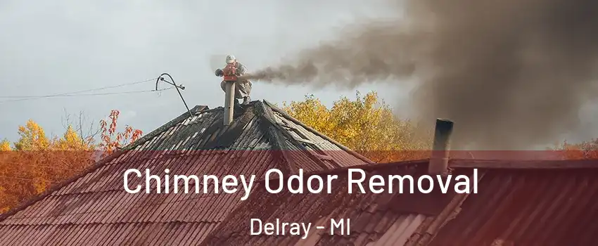 Chimney Odor Removal Delray - MI