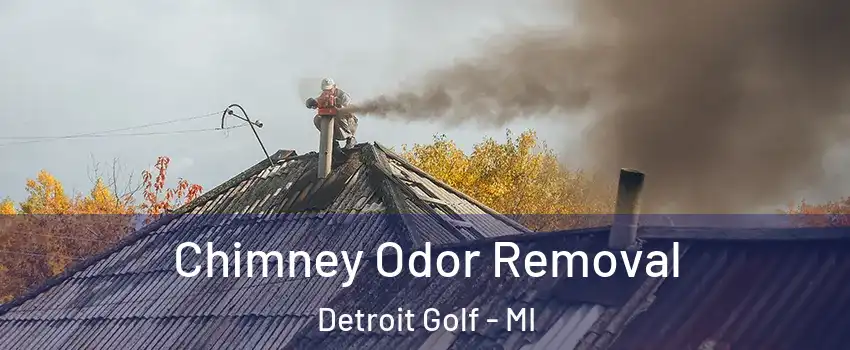 Chimney Odor Removal Detroit Golf - MI