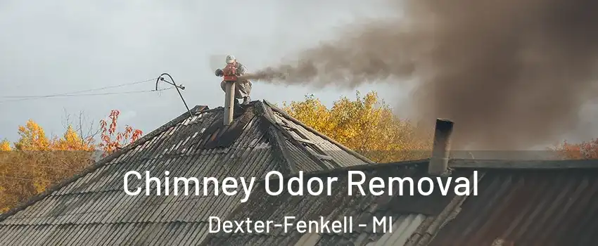 Chimney Odor Removal Dexter-Fenkell - MI