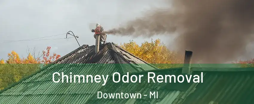 Chimney Odor Removal Downtown - MI