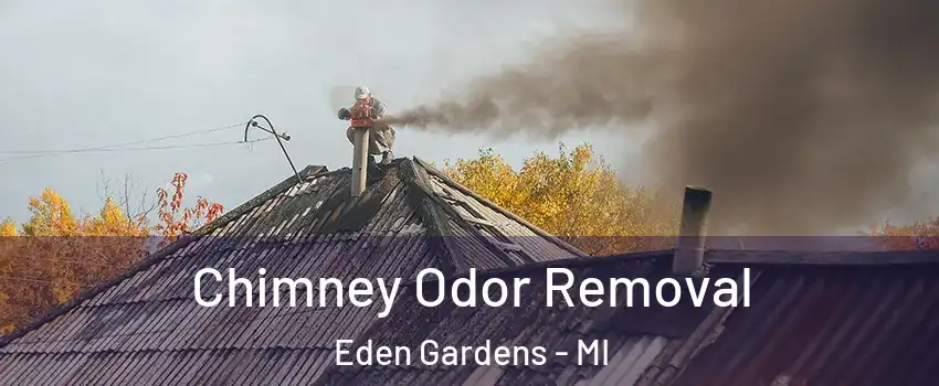 Chimney Odor Removal Eden Gardens - MI