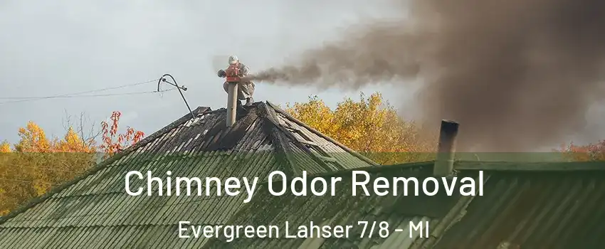 Chimney Odor Removal Evergreen Lahser 7/8 - MI