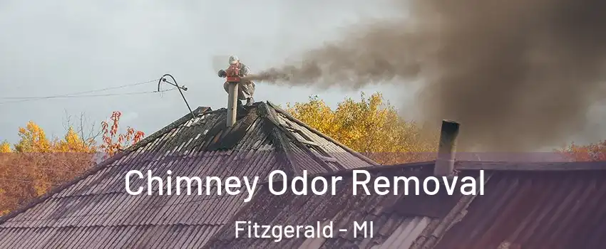 Chimney Odor Removal Fitzgerald - MI