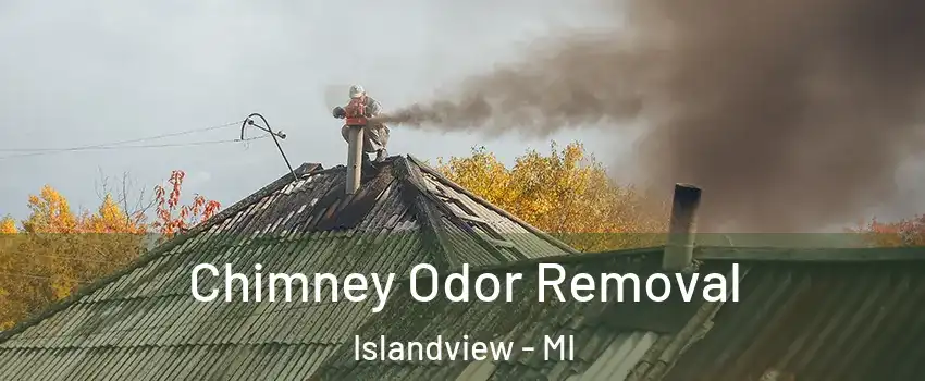 Chimney Odor Removal Islandview - MI