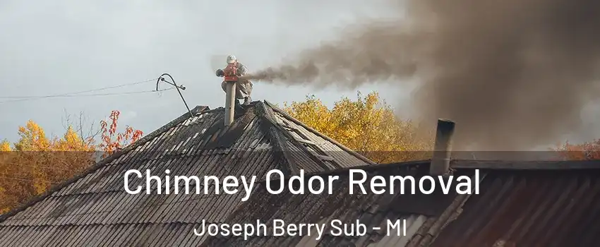 Chimney Odor Removal Joseph Berry Sub - MI