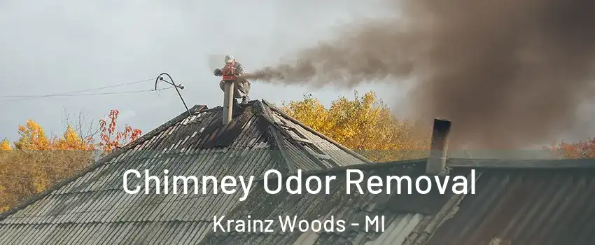 Chimney Odor Removal Krainz Woods - MI