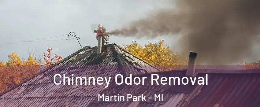 Chimney Odor Removal Martin Park - MI