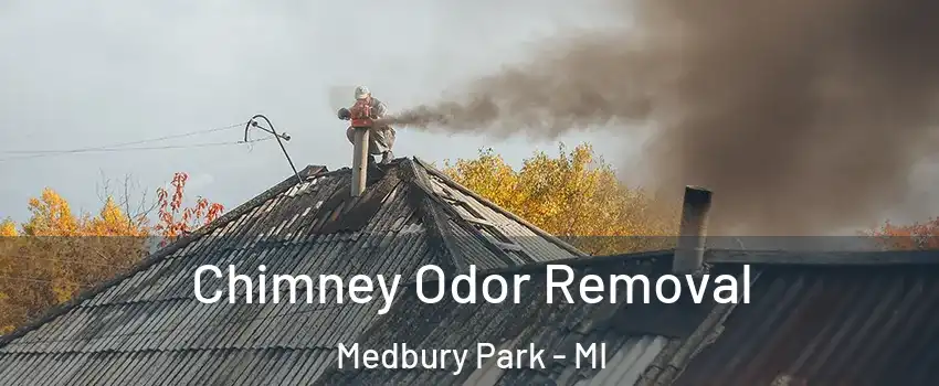 Chimney Odor Removal Medbury Park - MI