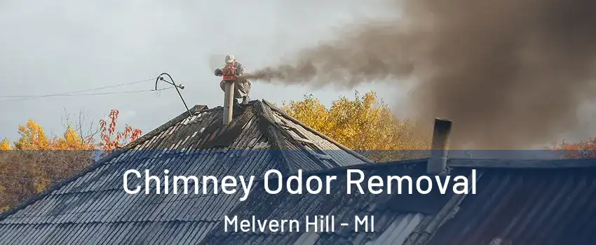 Chimney Odor Removal Melvern Hill - MI