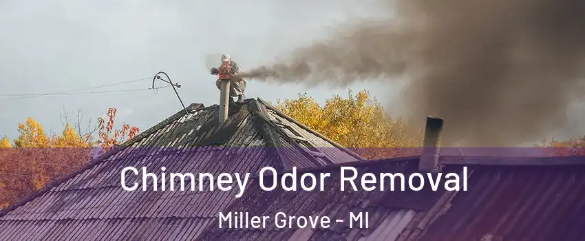 Chimney Odor Removal Miller Grove - MI