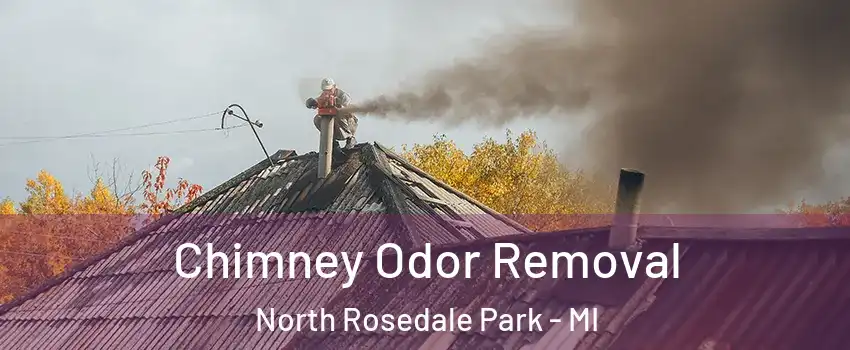 Chimney Odor Removal North Rosedale Park - MI