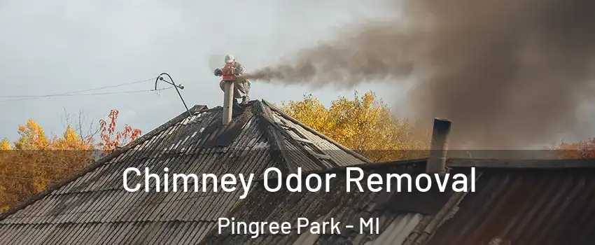 Chimney Odor Removal Pingree Park - MI