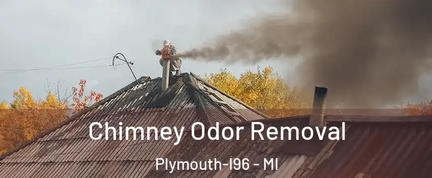 Chimney Odor Removal Plymouth-I96 - MI