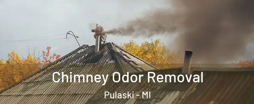 Chimney Odor Removal Pulaski - MI