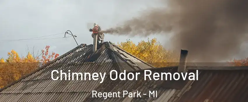 Chimney Odor Removal Regent Park - MI