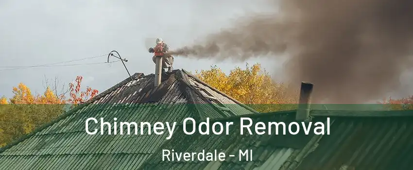 Chimney Odor Removal Riverdale - MI