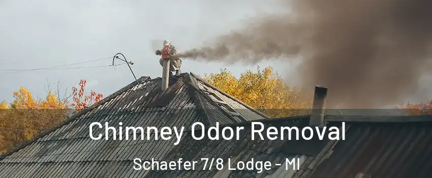 Chimney Odor Removal Schaefer 7/8 Lodge - MI