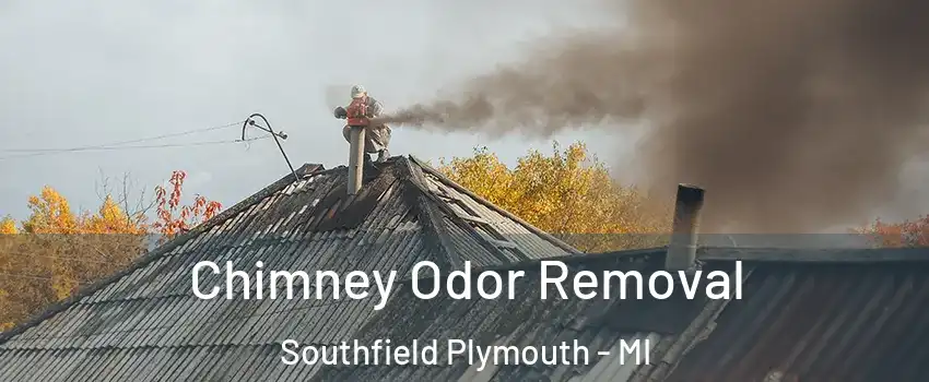 Chimney Odor Removal Southfield Plymouth - MI