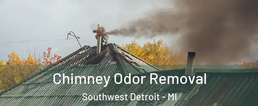 Chimney Odor Removal Southwest Detroit - MI