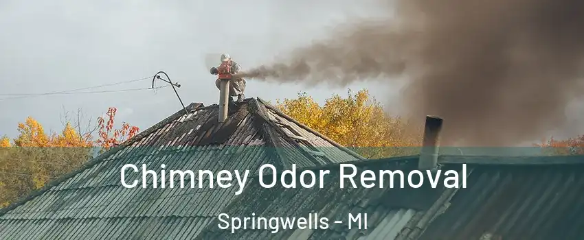 Chimney Odor Removal Springwells - MI