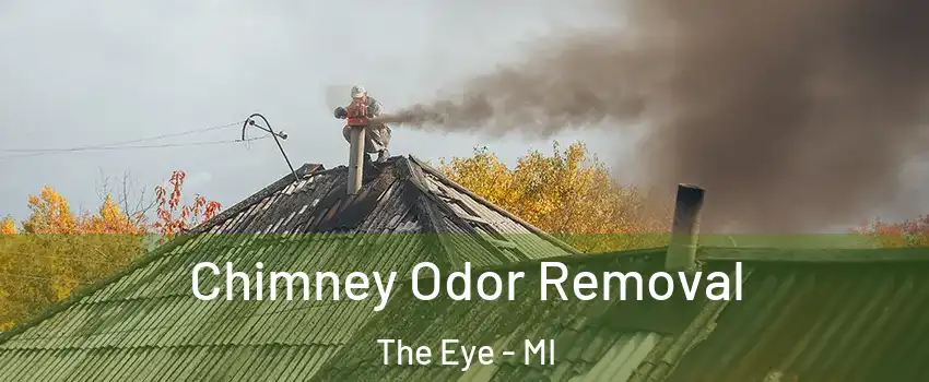 Chimney Odor Removal The Eye - MI