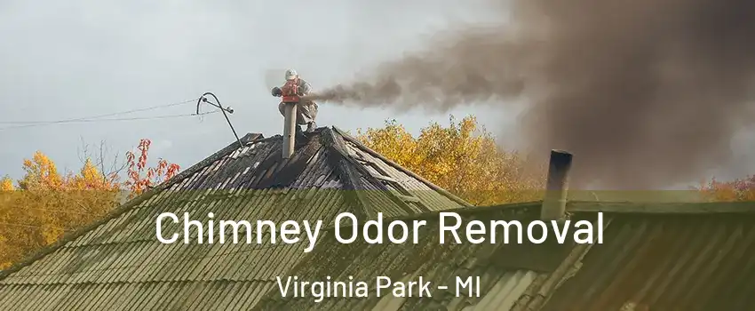 Chimney Odor Removal Virginia Park - MI