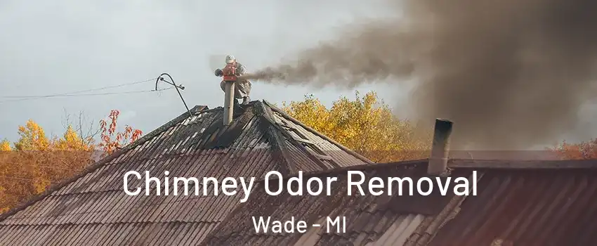 Chimney Odor Removal Wade - MI