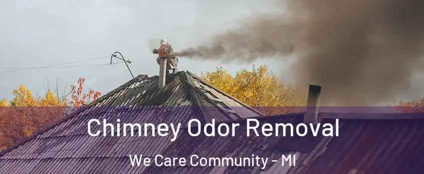 Chimney Odor Removal We Care Community - MI