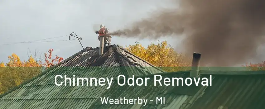 Chimney Odor Removal Weatherby - MI