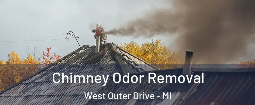 Chimney Odor Removal West Outer Drive - MI