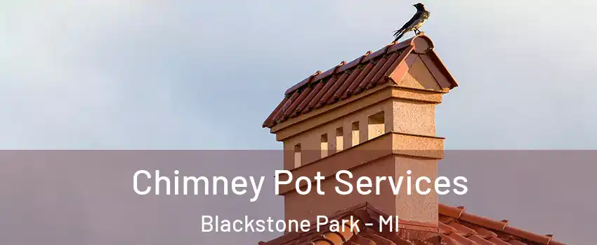 Chimney Pot Services Blackstone Park - MI