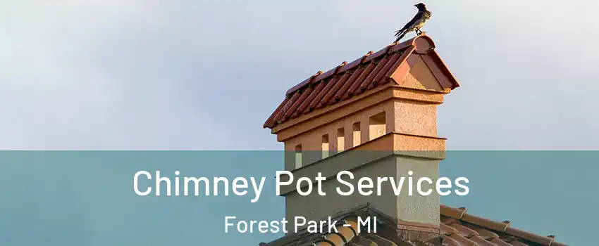 Chimney Pot Services Forest Park - MI