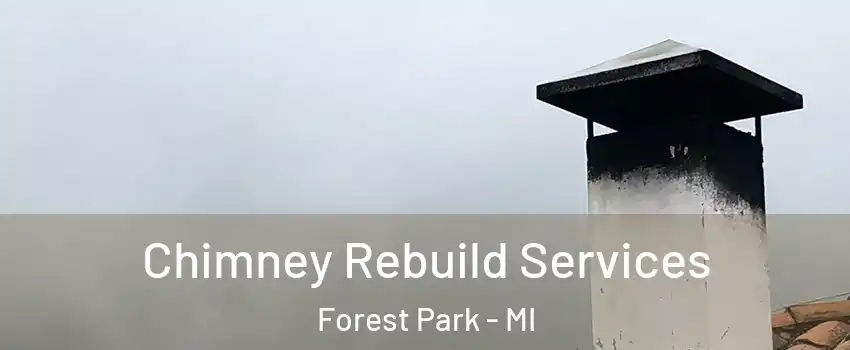 Chimney Rebuild Services Forest Park - MI