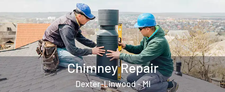 Chimney Repair Dexter-Linwood - MI