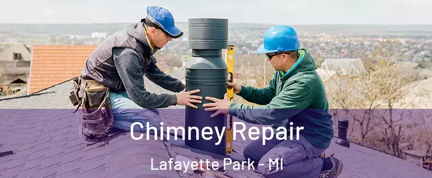 Chimney Repair Lafayette Park - MI