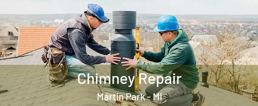 Chimney Repair Martin Park - MI