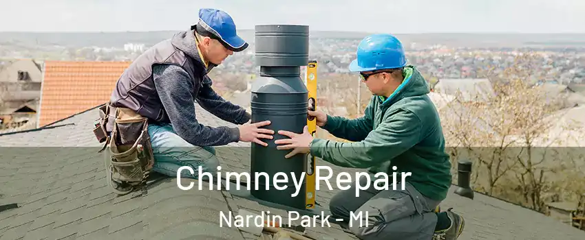 Chimney Repair Nardin Park - MI