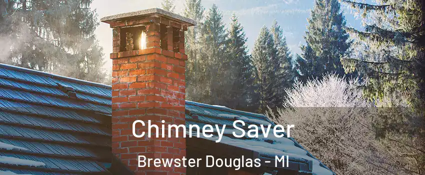 Chimney Saver Brewster Douglas - MI