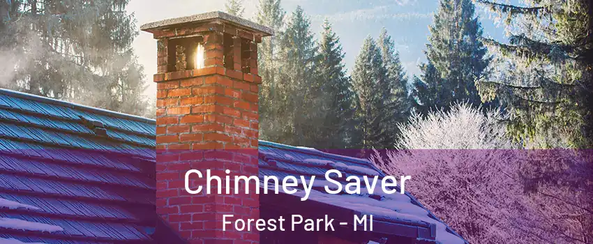 Chimney Saver Forest Park - MI